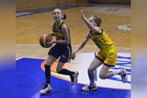 STARŠIE MINI Young Angels 2006 Yellow - Young Angels 2006 Blue