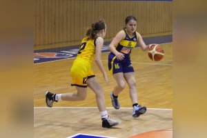 STARŠIE MINI Young Angels 2006 Yellow - Young Angels 2006 Blue