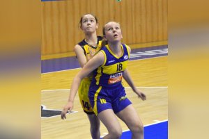STARŠIE MINI Young Angels 2006 Yellow - Young Angels 2006 Blue