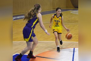 STARŠIE MINI Young Angels 2006 Yellow - Young Angels 2006 Blue