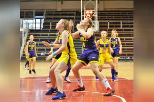 Final Six MSR 2017/18 Staršie mini