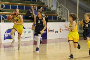 Final Six MSR 2017/18 Staršie mini