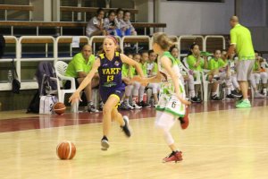 Final Six MSR 2017/18 Staršie mini