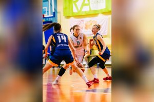 Alvik Basket -  Young Angels