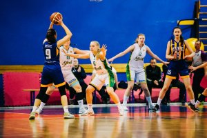 Alvik Basket -  Young Angels