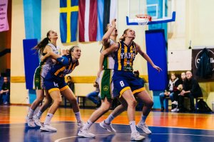 Alvik Basket -  Young Angels