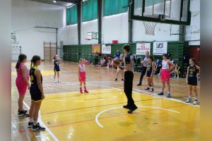 BKM Bardejov vs. Young Angels U11 Košice